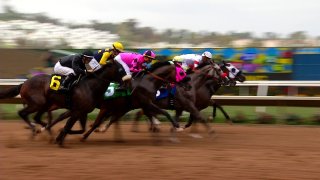 del mar horse deaths