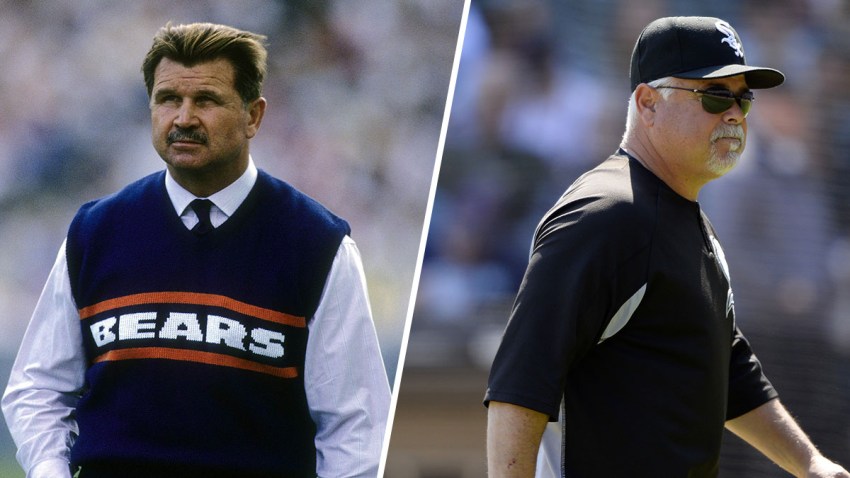ditka renteria dip