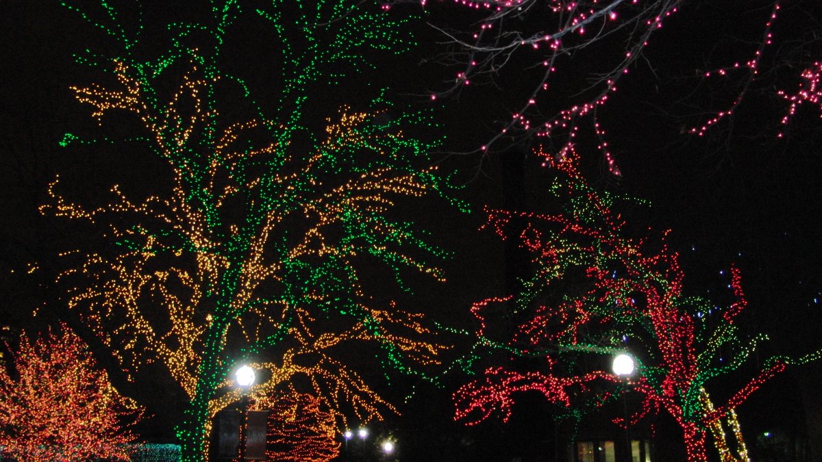 Lincoln Park’s ZooLights set to return this November NBC Chicago