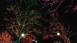 [UGCCHI-CJ-holiday lights]Lincoln park zoo lights- 60 degrees on Dec 1