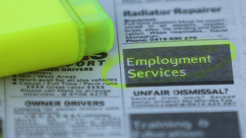 employment