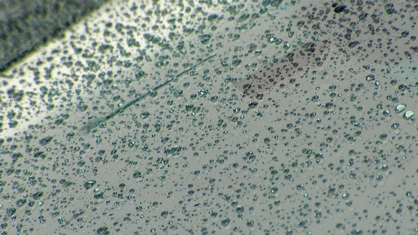 Cool start to the workweek ahead of daily rain chances, warmer temperatures