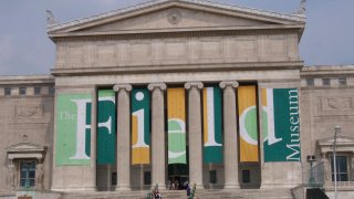 chicago field museum