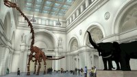 field museum1