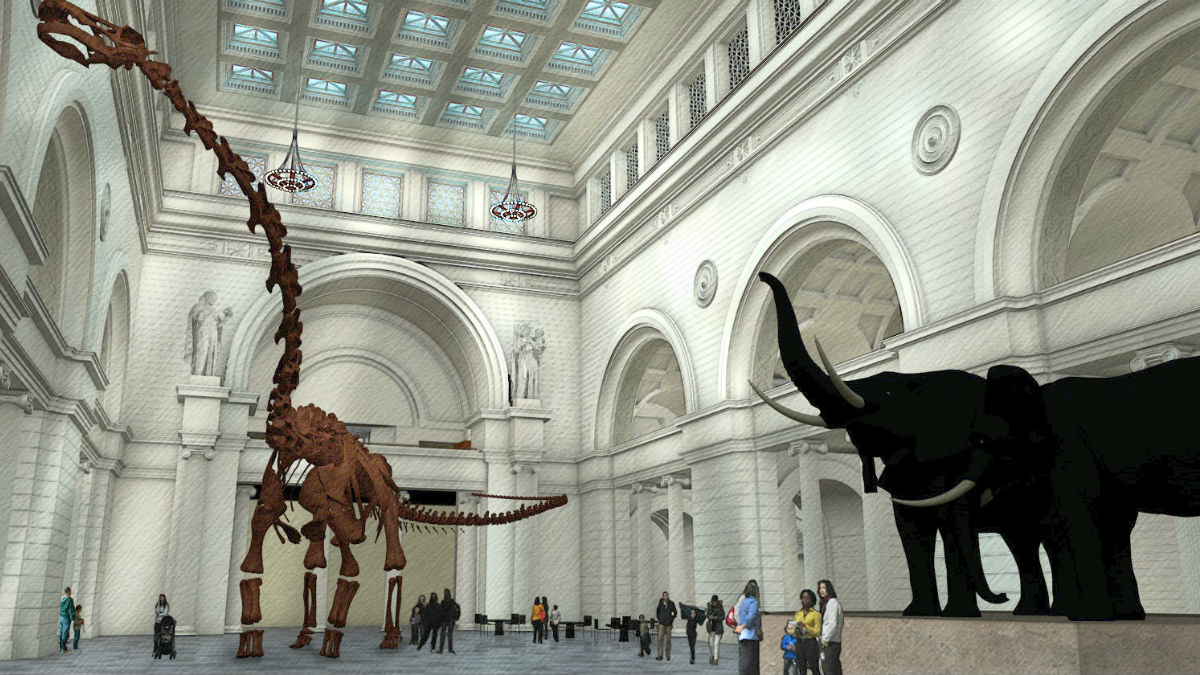 field museum1