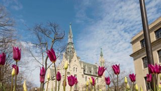 Northwestern University