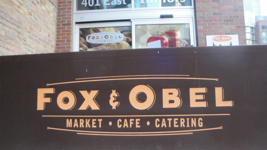fox-and-obel