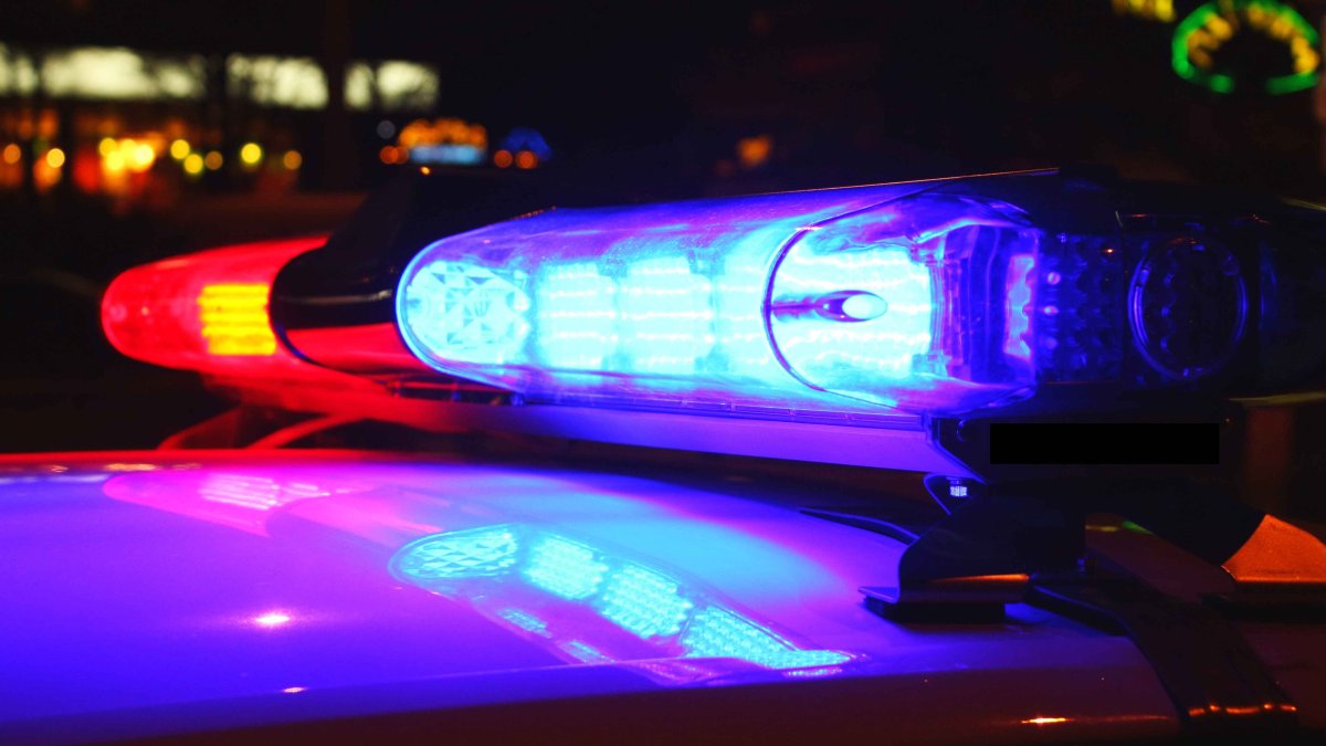 Boy, 6, Beaten to Death in Round Lake Beach, Mother's Boyfriend Charged: Police - Vimarsana News
