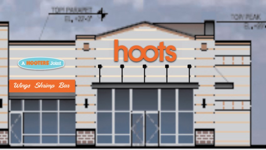 hoots-rendering-edited