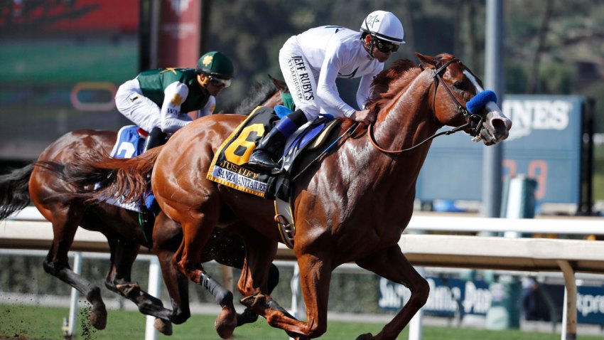 Justify Drug Test Horse Racing