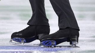 lagenerics-ice-skating