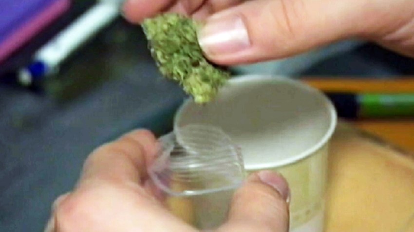 legalize marijuana nj