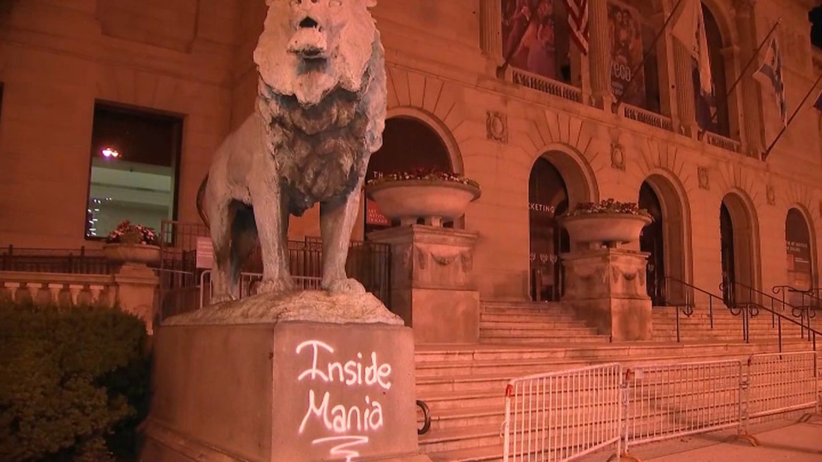 Suspect in Custody After Art Institute Lion Statue Vandalized NBC Chicago
