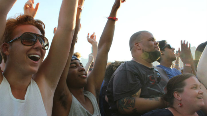 lolla-attendance