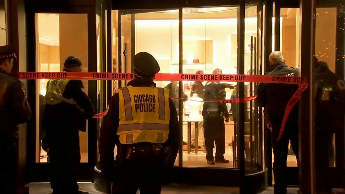 Police Release Surveillance Pics Of Louis Vuitton Store Burglary - CBS  Chicago