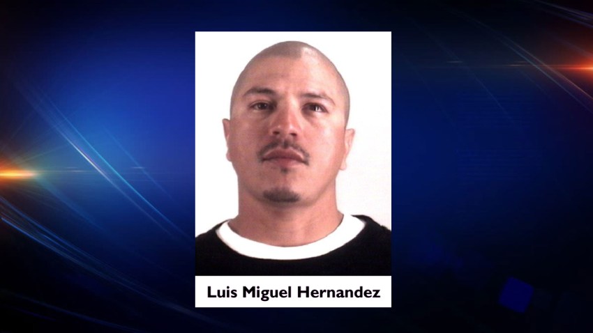 luis-miguel-hernandez