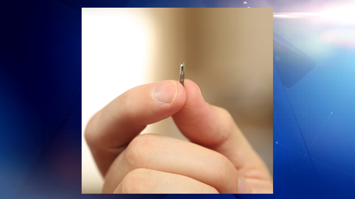 Chicago animal control unveils free, 24-hour microchip scanning to find lost pets
