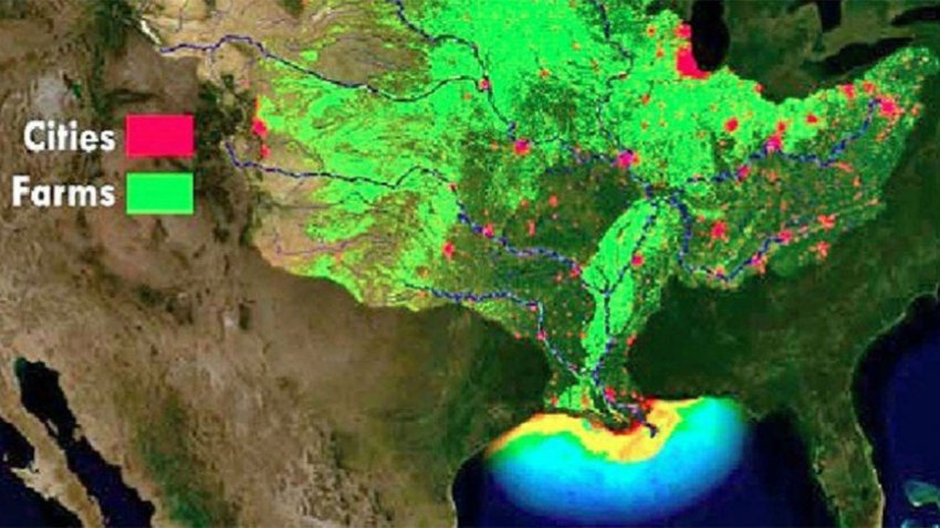 noaa-gulf-dead-zone-forecast-june-2019