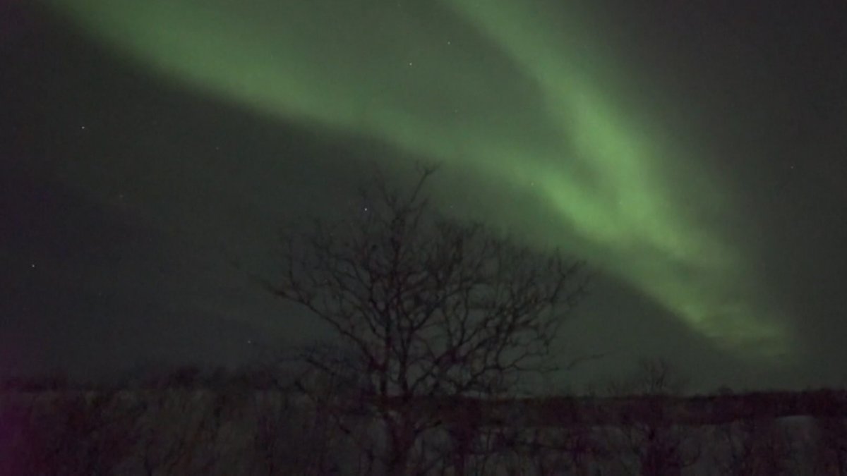 Northern Lights could be visible in Chicago area this week Northern Lights could be visible in Chicago area this week