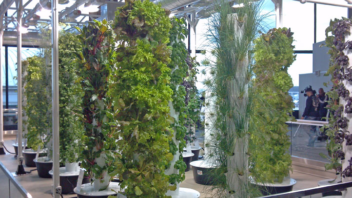 O Hare Creates Urban Garden Nbc Chicago