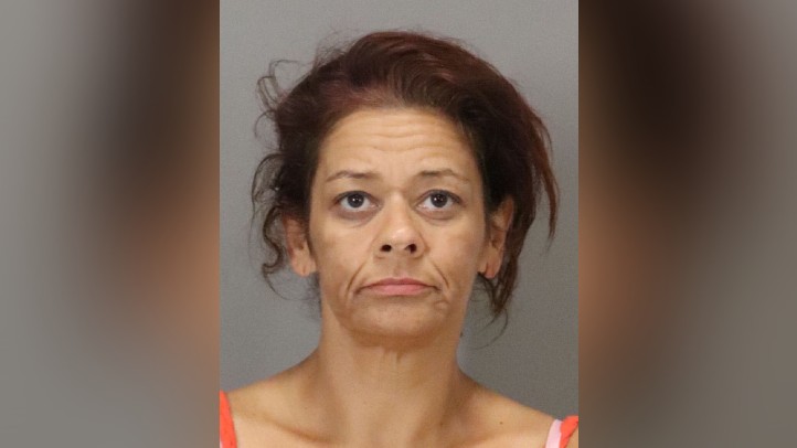 Milpitas Burglary Suspect