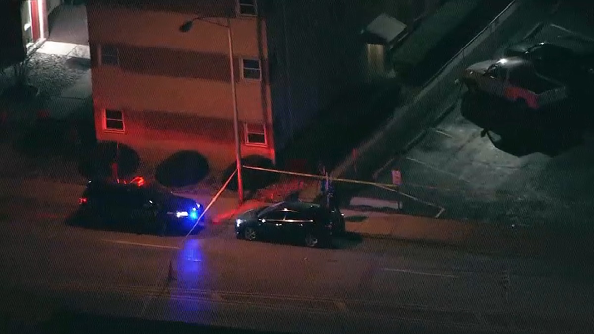 2 Dead in Apparent Forest Park MurderSuicide Police NBC Chicago