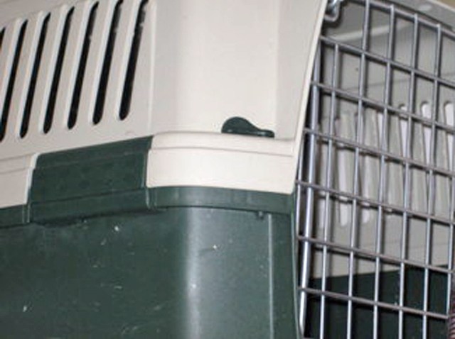 Noon_web_hurricane_still_1200x675_550429763885.jpg