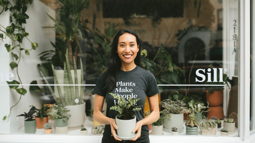 Fall Homes Plant Influencers