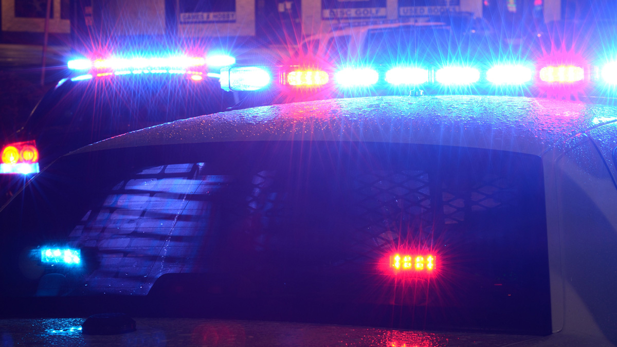 Pedestrian Struck, Killed in Lisle Hit-and-Run