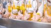 Plan to reduce salmonella bacteria levels in poultry pulled by the USDA