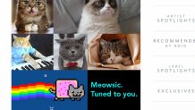 rdio cat streaming