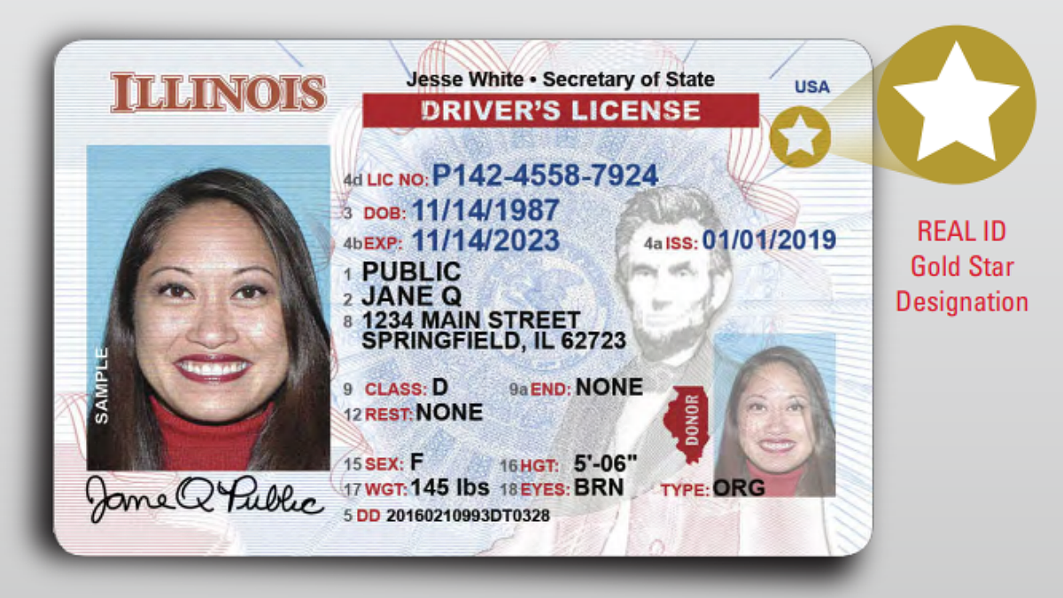 illinois drivers license check