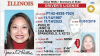 Illinois REAL ID: Here's the List of Documents Required to Apply