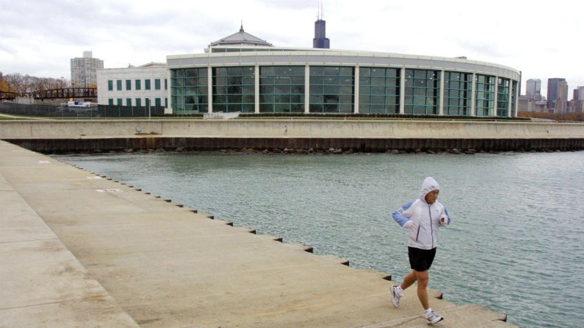 runner shedd
