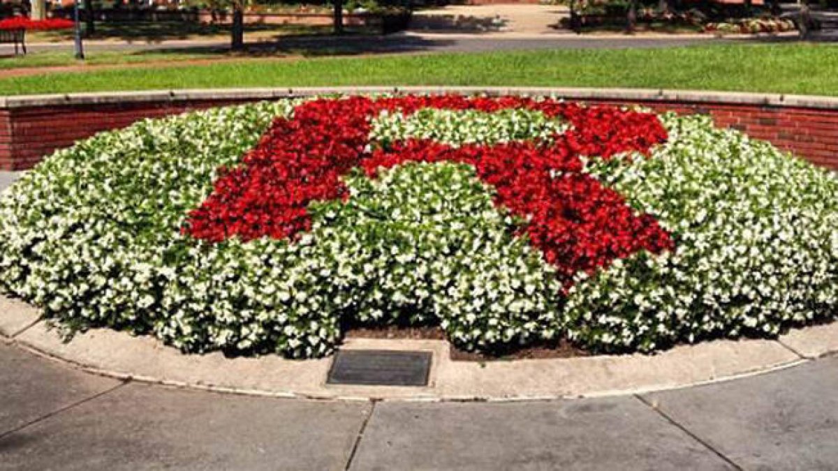 Center For Islamic Life At Rutgers Vandalized – Nbc Chicago