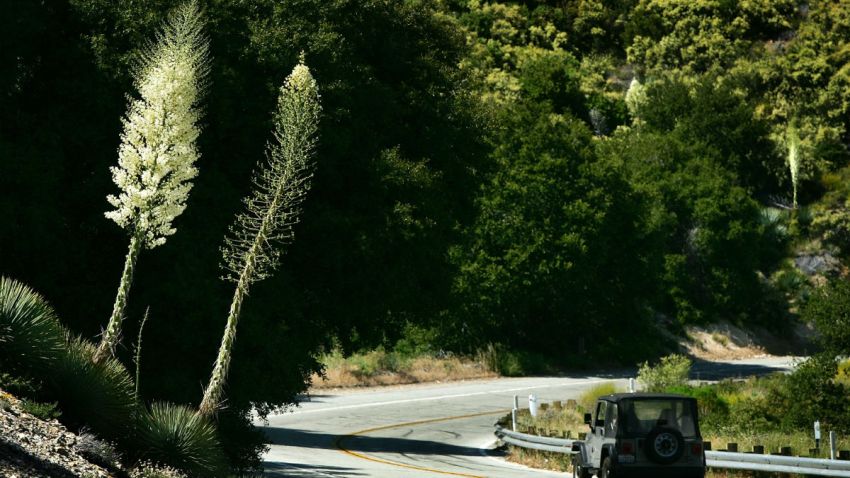 scenic road trip