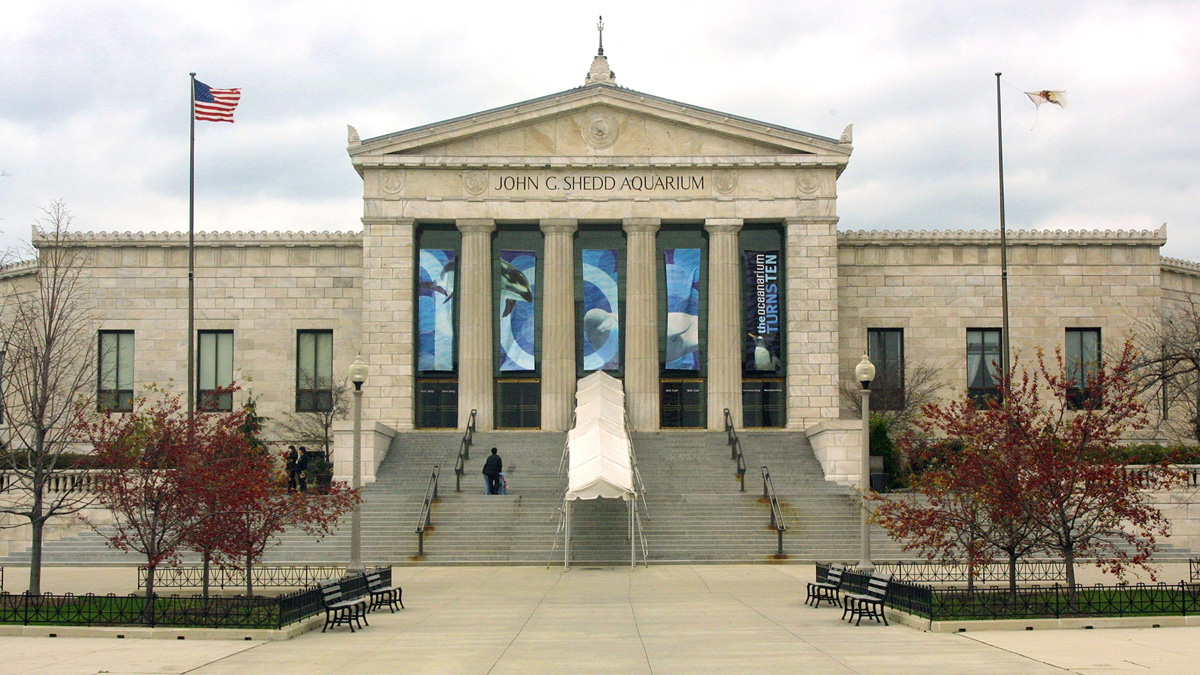 Chicago Free Museum Days 2024 Full List NBC Chicago   Shedd Aquarium Building 