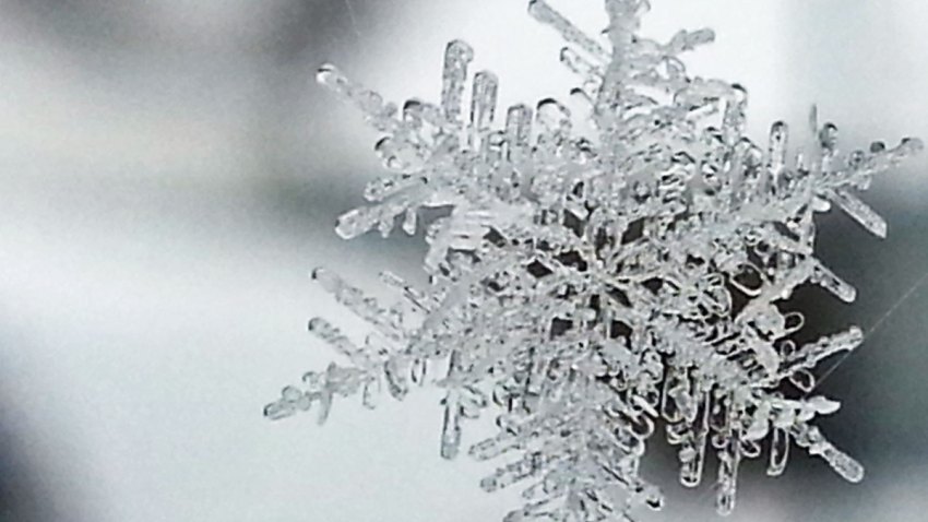 snowflake-winter-storm