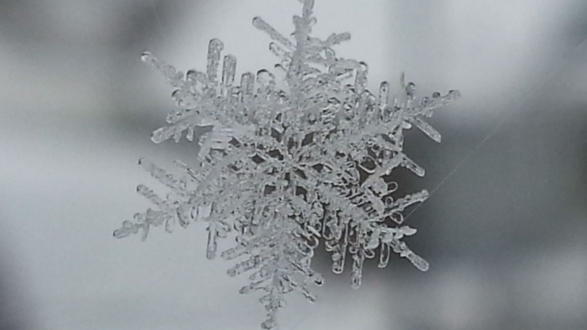 First chance for snowflakes in Chicago area has hit the forecast