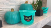 Why do some houses have a teal pumpkin outside on Halloween? Here's what to know