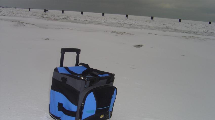 WCAU_000000010358649_1200x675_444515395768.jpg