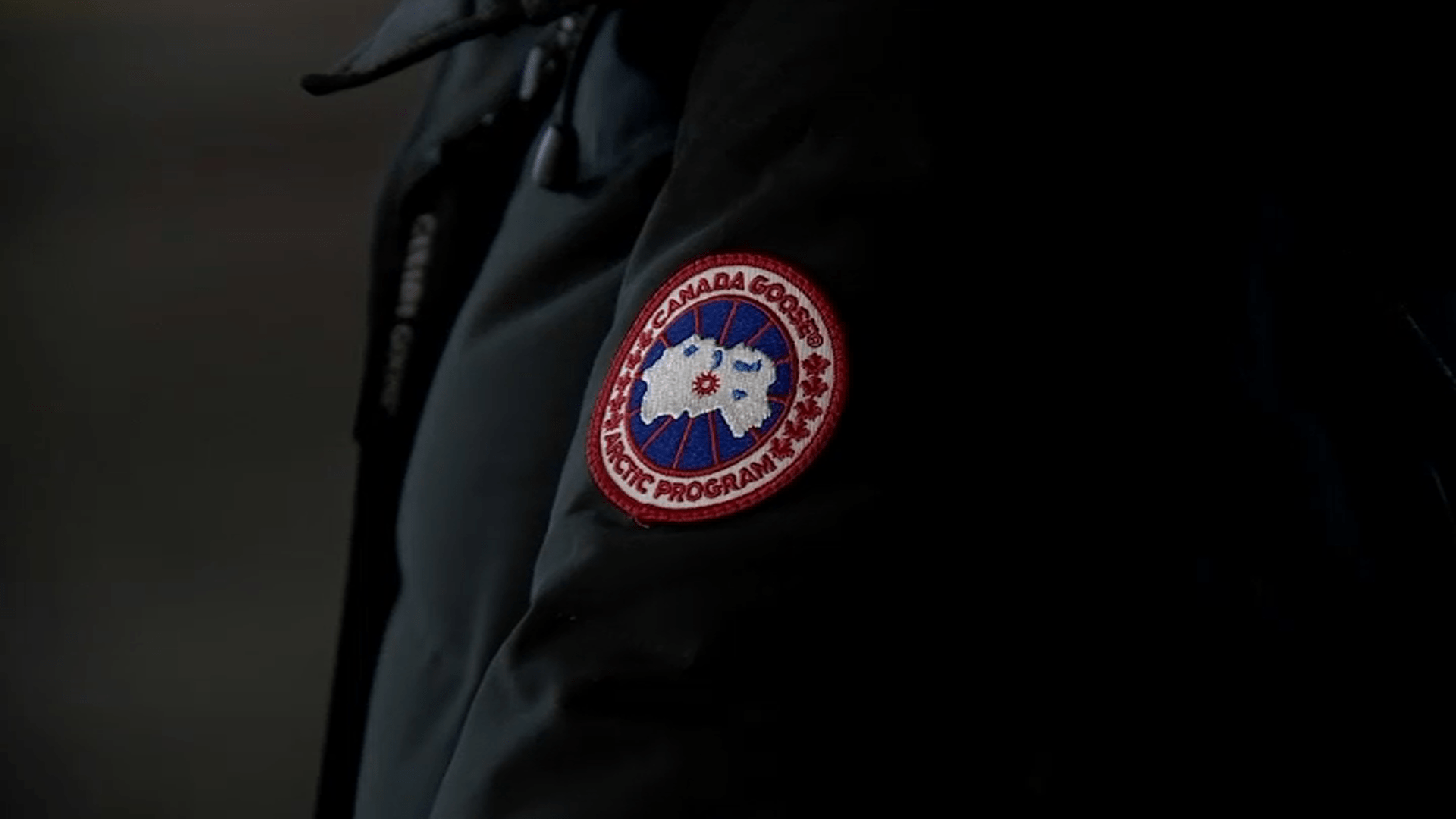 Canada goose 2025 robbery in chicago