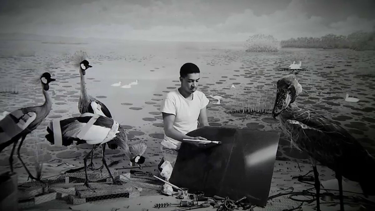 Field Museum’s First AfricanAmerican Taxidermist Made Indelible Mark