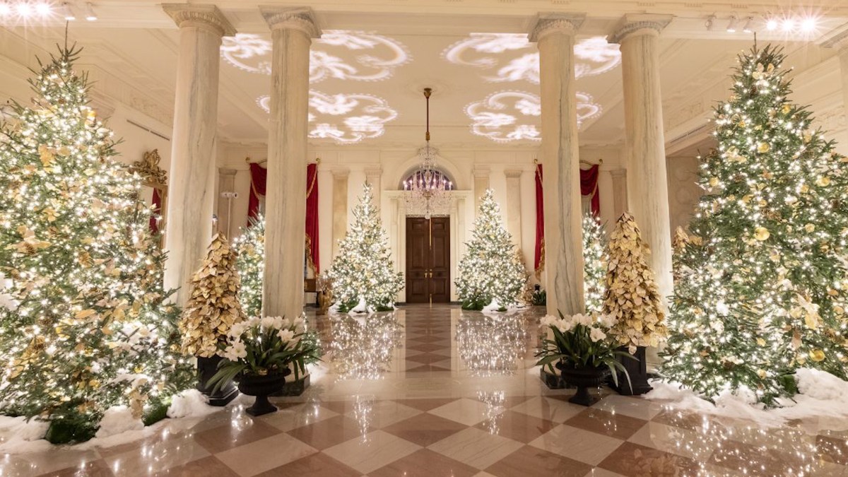White House Christmas Decorations 2024 On Tv Eleni Tuesday