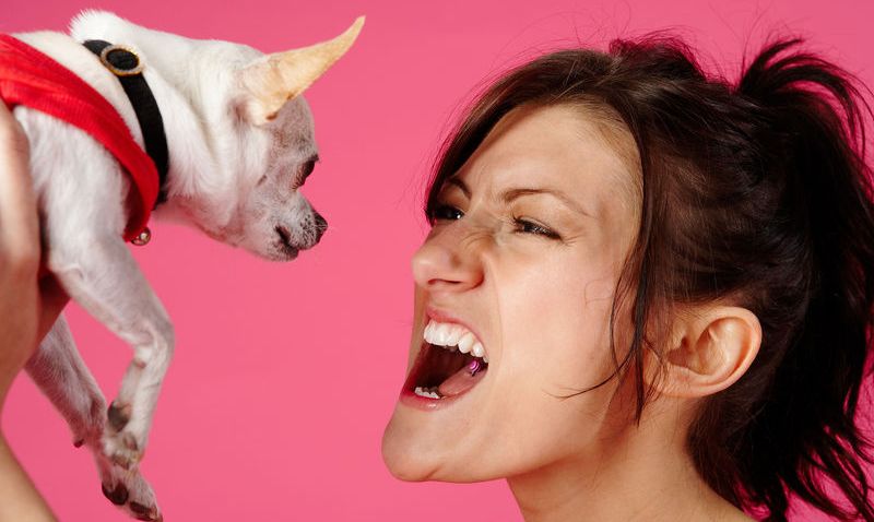 woman-dog-generic