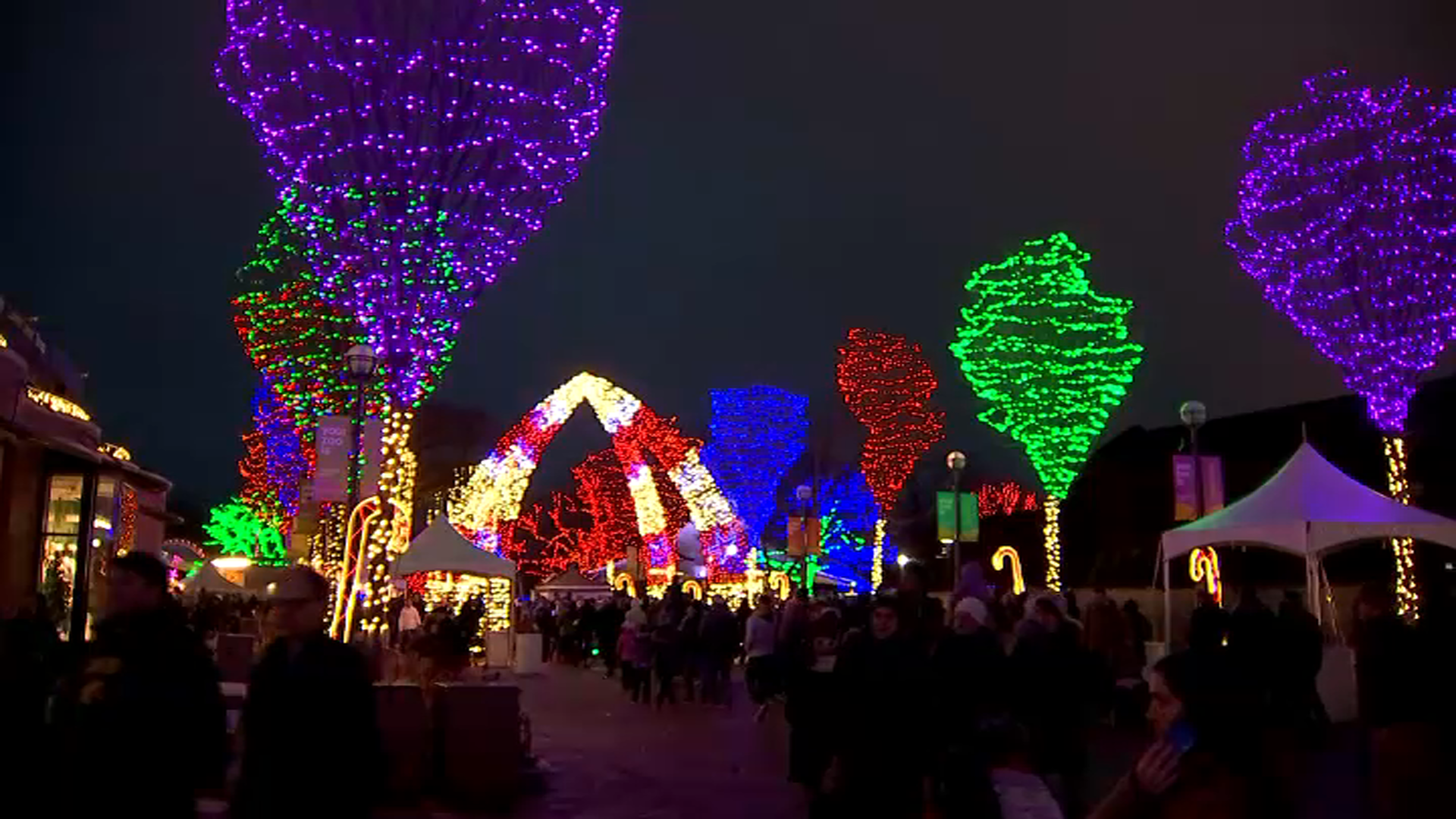 ZooLights در باغ وحش لینکلن پارک یک هفته دیگر تمدید کرد NBC شیکاگو