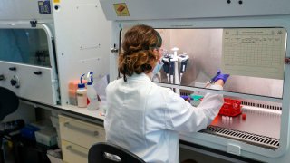 An scientist is pictured working at the Oxford Vaccine Group's laboratory facility.