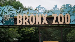 Bronx Zoo entrance