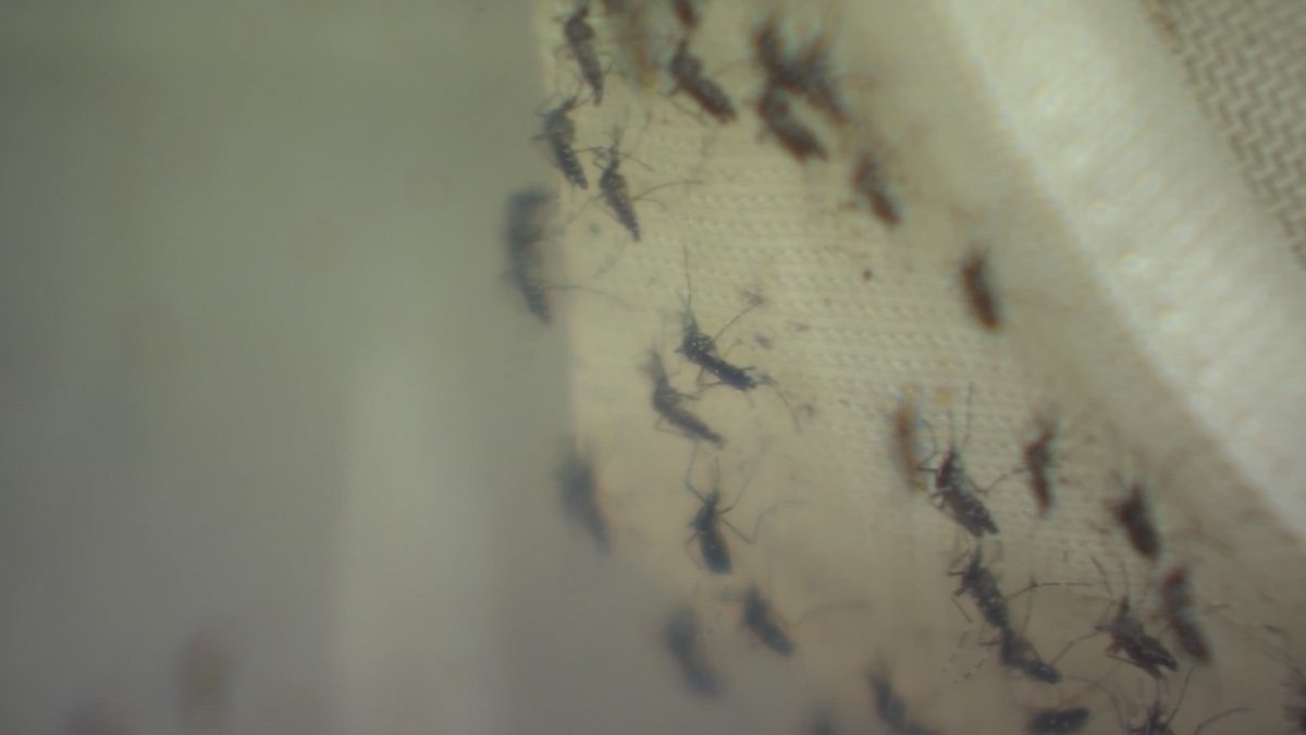 2 DuPage County residents die of West Nile virus