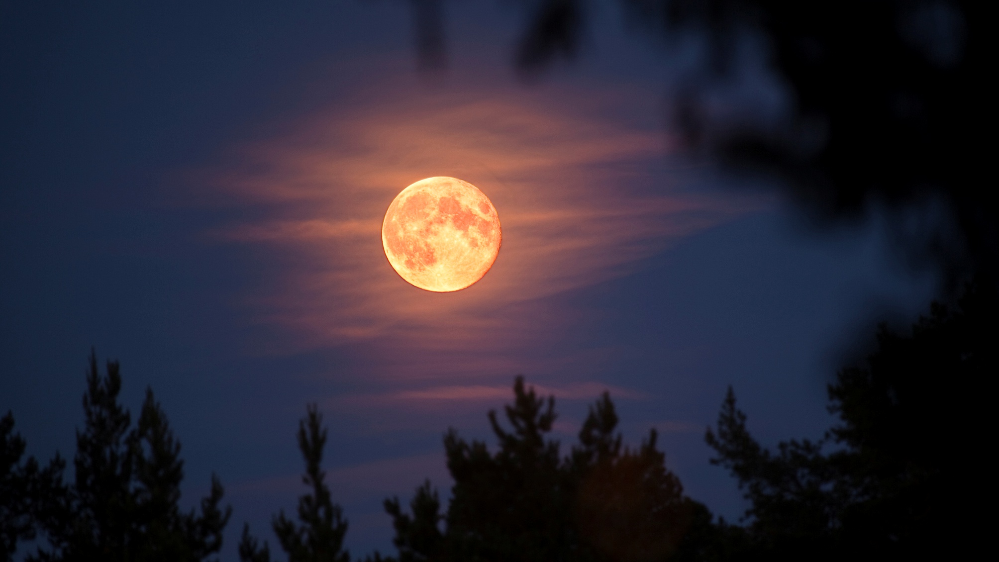 The Harvest Moon Will Illuminate the Sky Tonight. Here's What to Know